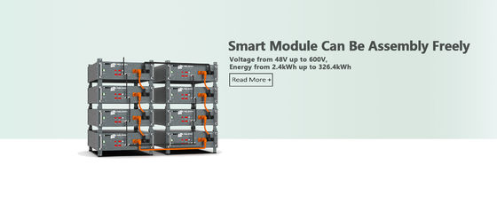 51.2V 50AH Domestic Battery Storage Systems Energy LFP 2400 PLUS Natural Cooling System